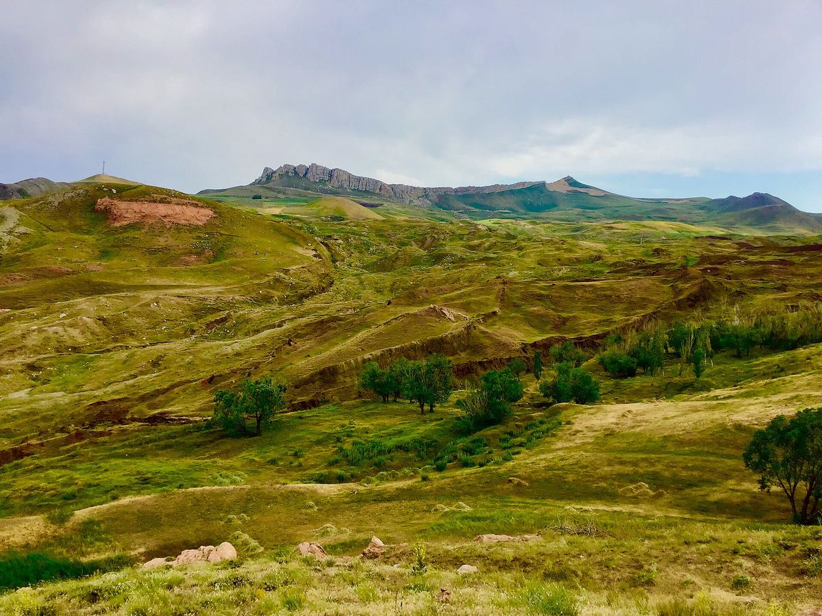 Green hills around the Durupınar site in summer 2019